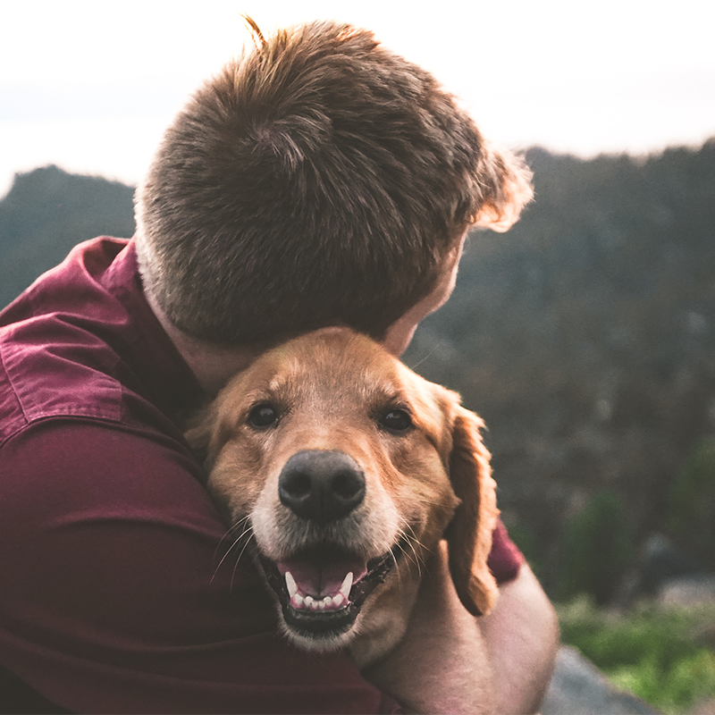 man hugging a labrador